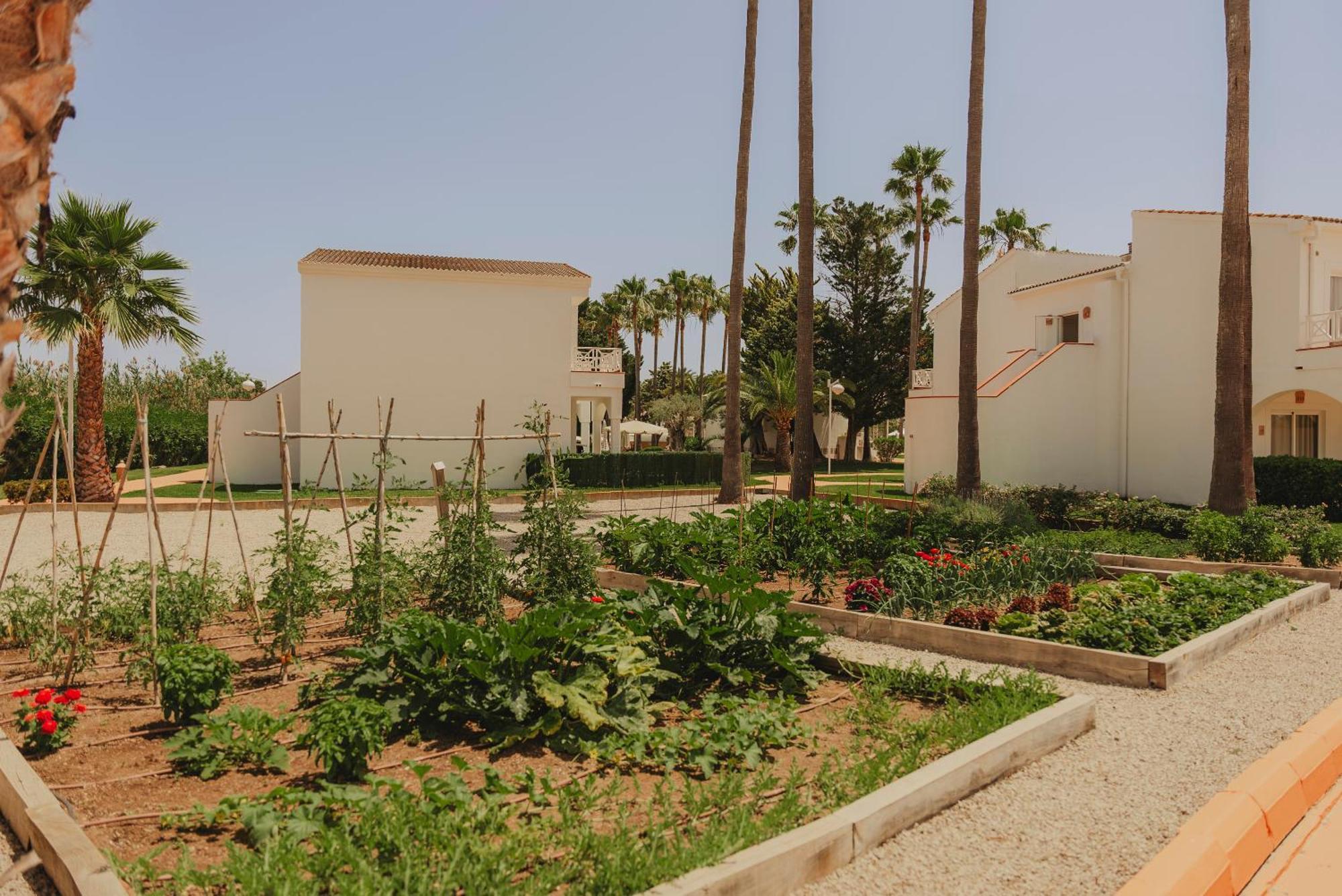 Garden Saladina - Adults Only Hotel